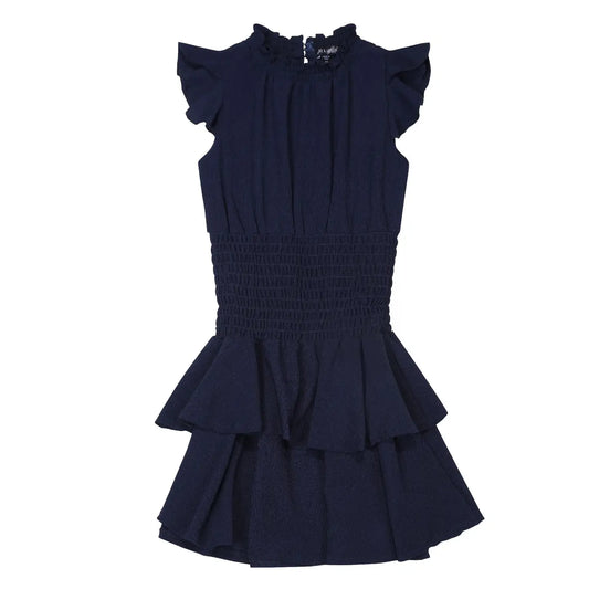 Oh So Navy Dress
